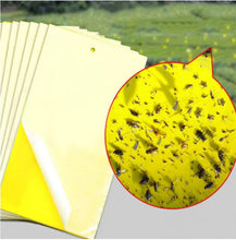 Lade das Bild in den Galerie-Viewer, Insect Trap Yellow Board - Sticky Insect Catcher
