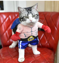Lade das Bild in den Galerie-Viewer, Chic Pet Satin Outfits

