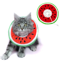 Load image into Gallery viewer, Hoopea Adjustable Cat Cone Collar Comfortable Soft Neck Cone After Surgery Protective Elizabethan Collar for Wound Healing (Watermelon Small) ITDinos®
