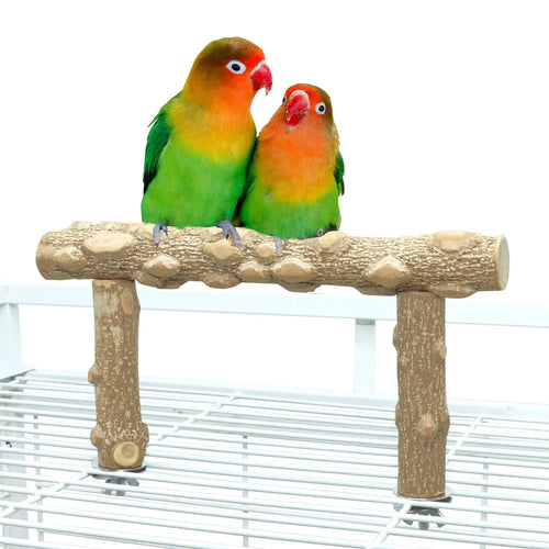 Bird Perch Stand Bird Cage Top Perch GymNatural Wood Parrot Branch for Small Medium Large Parrot (S) ITDinos®