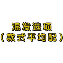 Load image into Gallery viewer, Chic Long Silk Scarf for Women - Versatile Spring Accessory
