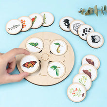 Load image into Gallery viewer, Montessori Wooden Animal Life Cycle Puzzle for Kids ITDinos®

