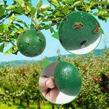 Lade das Bild in den Galerie-Viewer, Hanging Fly Trap Ball for Outdoor Insect Control (1pc)
