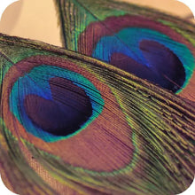 Load image into Gallery viewer, Ethnic Style Peacock Feather Earrings for Travelers ITDinos®
