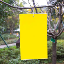 Lade das Bild in den Galerie-Viewer, Insect Trap Yellow Board - Sticky Insect Catcher
