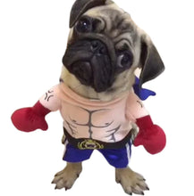 Lade das Bild in den Galerie-Viewer, Chic Pet Satin Outfits
