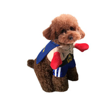 Lade das Bild in den Galerie-Viewer, Chic Pet Satin Outfits
