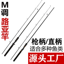 Load image into Gallery viewer, Complete Fishing Rod and Reel Set for Amazon Lure ITDinos®
