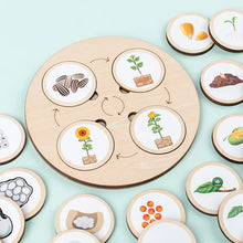 Load image into Gallery viewer, Montessori Wooden Animal Life Cycle Puzzle for Kids ITDinos®

