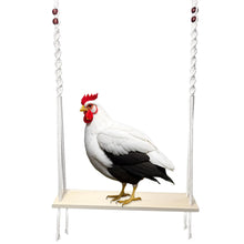Load image into Gallery viewer, HahaMagic Chicken Swing Toy for Large Chicken Coop Chicken Enrichment Toy for Hens and Roosters Natural Wooden Handmade Chicken Coop Accessories Ideal Gift for Chicken Owners and Chicken Lovers ITDinos®
