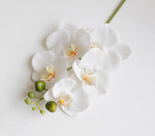Load image into Gallery viewer, Artificial 6-Head Phalaenopsis Orchid
