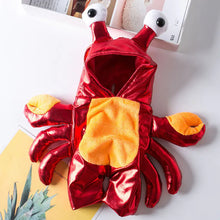 Lade das Bild in den Galerie-Viewer, Cat and Dog Costume for Halloween
