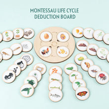 Load image into Gallery viewer, Montessori Wooden Animal Life Cycle Puzzle for Kids ITDinos®
