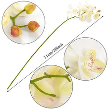 Load image into Gallery viewer, Artificial 6-Head Phalaenopsis Orchid
