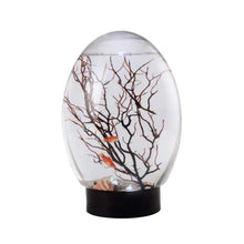 Load image into Gallery viewer, EcoSphere Mini Aquarium with LED
