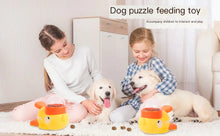 Load image into Gallery viewer, Intelligent Automatic Pet Feeder ITDinos®

