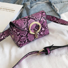 Load image into Gallery viewer, Python Print Belt Bag ITDinos®
