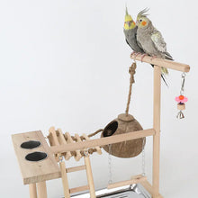 Lade das Bild in den Galerie-Viewer, Solid Wood Parrot Training Stand with Climbing Ladder ITDinos®
