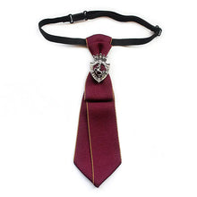 Load image into Gallery viewer, Men&#39;s Bow Tie &amp; Fashionable Unisex Tie Accessory 6x21cm ITDinos®
