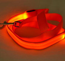 Load image into Gallery viewer, Glow In Dark Dog Leash Itdinos
