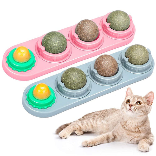 Catnip Wall Ball Toys for Cats Itdinos