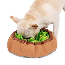 Load image into Gallery viewer, Doglemi Dog Snuffle Mat Puppy Cat Pet Sniffing Pad Slow Feeding Bowel And Mat Puppy Activity Training Blanket Stress Relea Itdinos
