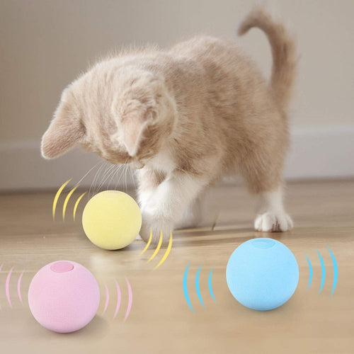 Interactive Ball Catnip Cat Training Toy Itdinos