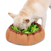 Load image into Gallery viewer, Doglemi Dog Snuffle Mat Puppy Cat Pet Sniffing Pad Slow Feeding Bowel And Mat Puppy Activity Training Blanket Stress Relea Itdinos
