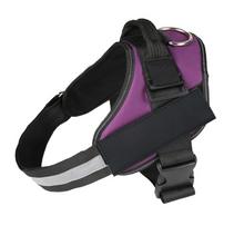Load image into Gallery viewer, Dog Name Collar Vest Itdinos
