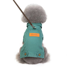 Load image into Gallery viewer, Luxury Winter Dog Jacket Itdinos
