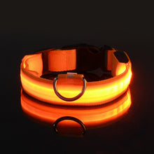 Load image into Gallery viewer, Rechargable Dog LED Flashing Collar Itdinos
