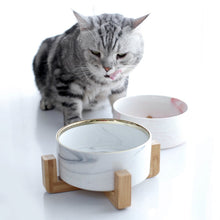 Load image into Gallery viewer, Marbling Ceramic Double Bowl For Pet Itdinos
