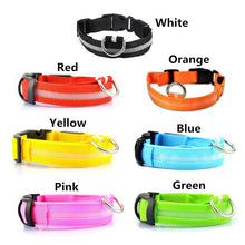 Load image into Gallery viewer, Rechargable Dog LED Flashing Collar Itdinos
