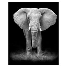 Lade das Bild in den Galerie-Viewer, Canvas Painting Wall Art Itdinos
