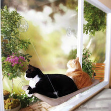 Load image into Gallery viewer, Window Mount Cat Hammock Itdinos
