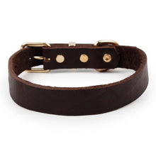 Load image into Gallery viewer, Top Grade Leather Dog Collar Pet Leads Alloy Buckle Itdinos
