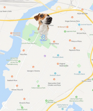 Load image into Gallery viewer, GPS Cat Collar Itdinos
