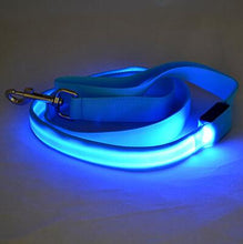 Load image into Gallery viewer, Glow In Dark Dog Leash Itdinos
