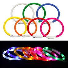 Load image into Gallery viewer, LED Dog Collar USB Charging Flashing Night Cat Collars Luminous Anti-Lost Avoid Car Accident Safety Pets Harnesses Leads Itdinos
