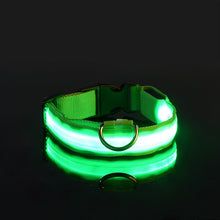 Load image into Gallery viewer, Rechargable Dog LED Flashing Collar Itdinos
