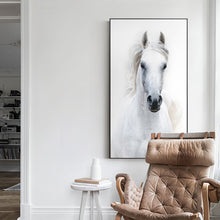Lade das Bild in den Galerie-Viewer, Nordic Style White Horse Canvas White Poster Print Modern Wall Art Pictures Itdinos
