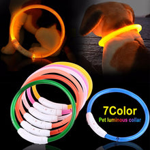 Load image into Gallery viewer, LED Dog Collar USB Charging Flashing Night Cat Collars Luminous Anti-Lost Avoid Car Accident Safety Pets Harnesses Leads Itdinos
