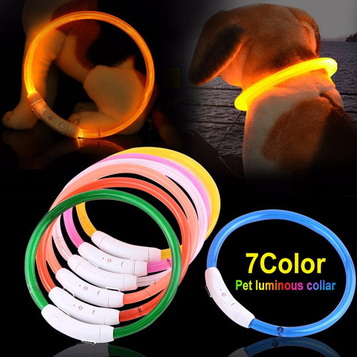 LED Dog Collar USB Charging Flashing Night Cat Collars Luminous Anti-Lost Avoid Car Accident Safety Pets Harnesses Leads Itdinos
