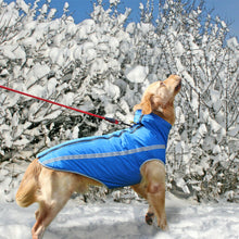 Load image into Gallery viewer, Waterproof Dog Clothes for Large Dogs Itdinos
