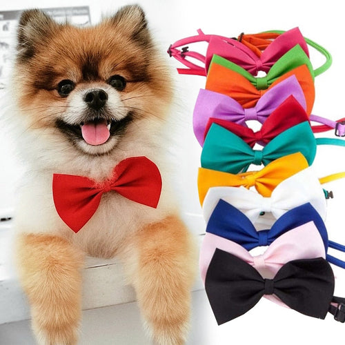 Pet Bow Tie Necklace Itdinos