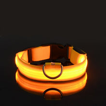 Load image into Gallery viewer, Rechargable Dog LED Flashing Collar Itdinos
