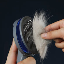 Load image into Gallery viewer, Pets Grooming Brush Itdinos
