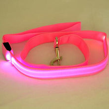 Load image into Gallery viewer, Glow In Dark Dog Leash Itdinos
