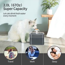 Load image into Gallery viewer, Electric Pet Drinking Fountain Itdinos
