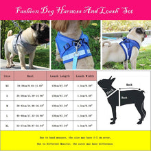 Load image into Gallery viewer, Reflective Safety Pet Dog Harness and Leash Set for Small Medium Dogs Cat Harnesses Vest Puppy Chest Strap Pug Chihuahua Bulldog Itdinos
